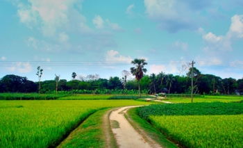 যেখানে রাস্তা মিলে যায়, স্বপ্ন ছিটকে পড়ে