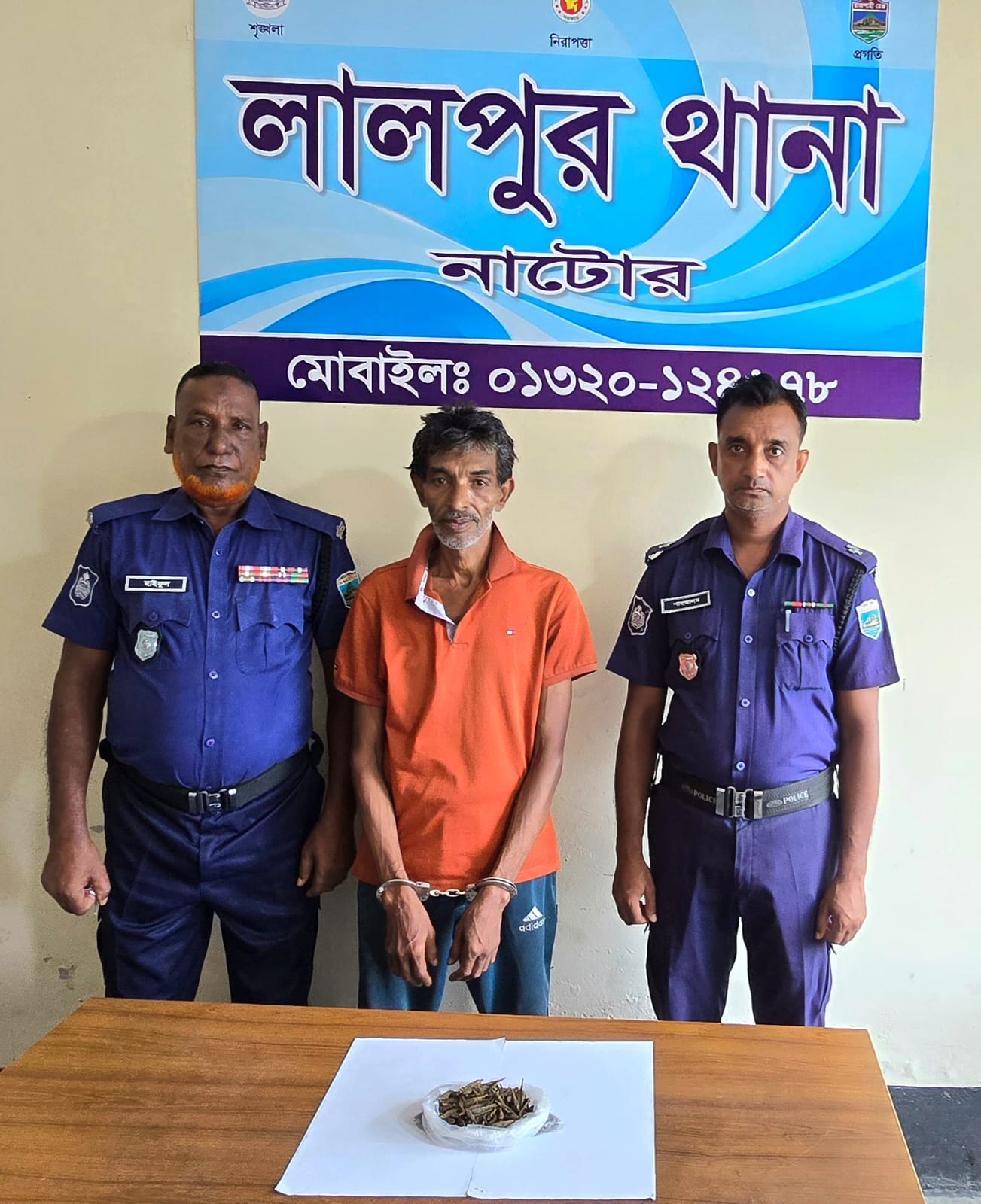 লালপুরে গাঁজাসহ মাদক ব্যবসায়ী গ্রেফতার, আদালতে সোপর্দ​